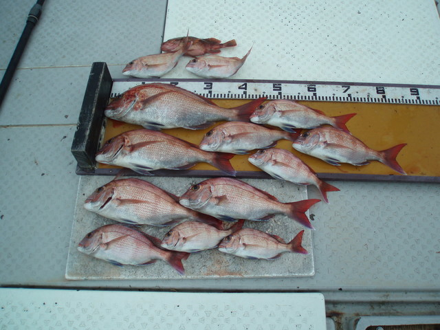 P1010072.JPG